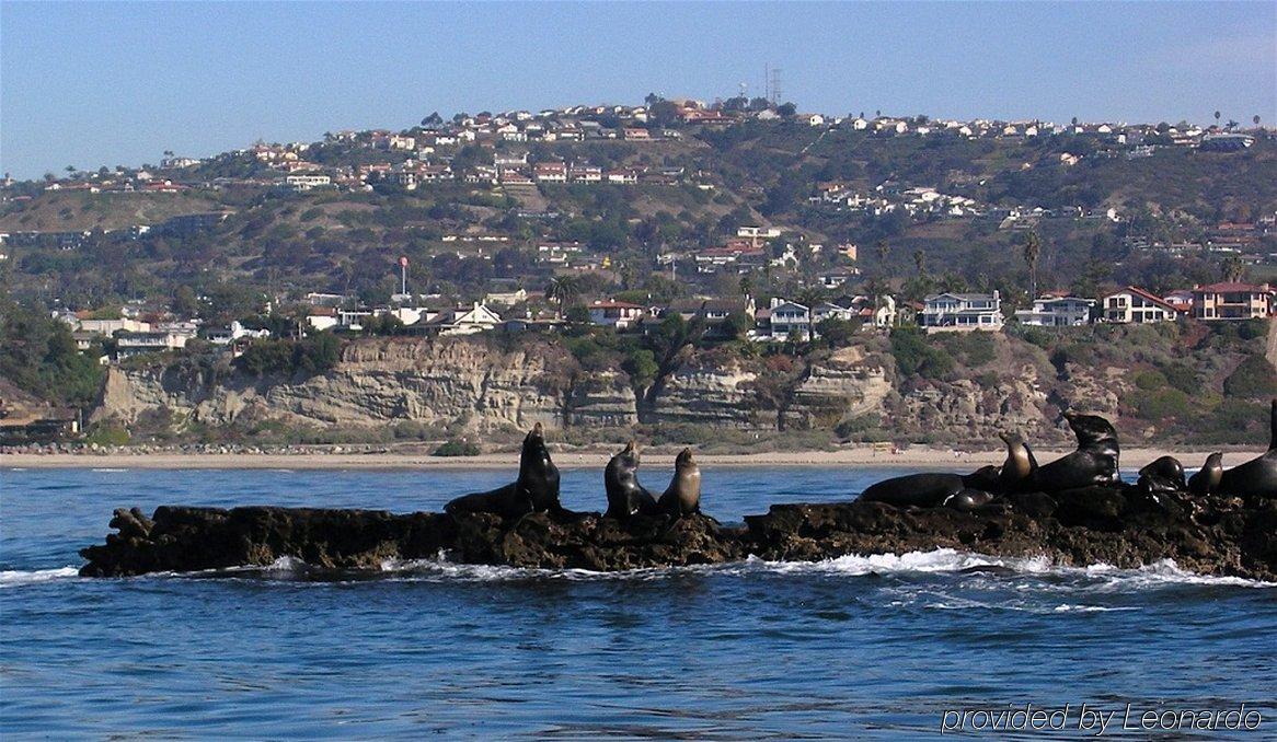Holiday Inn Express San Clemente N - Beach Area By Ihg Extérieur photo